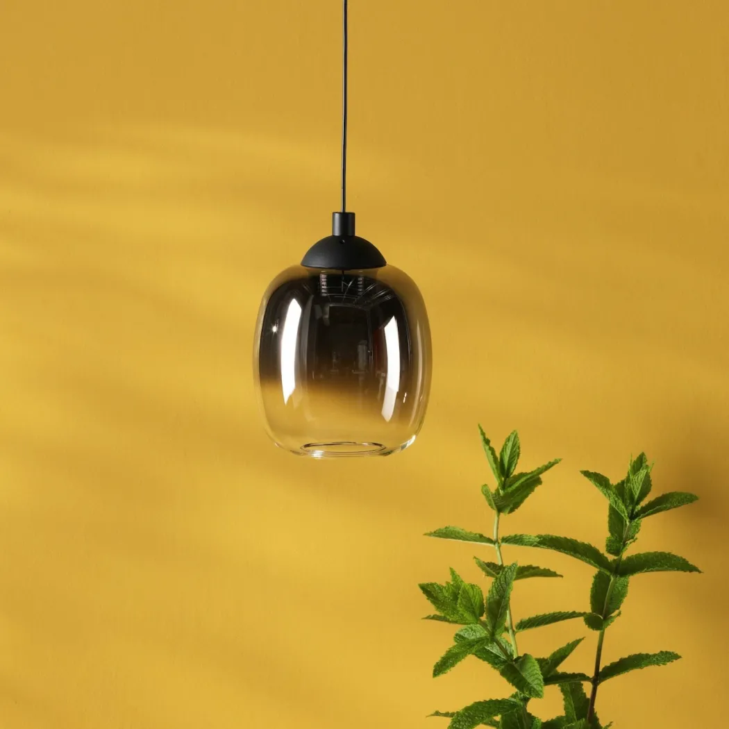 Ramona Black & Smoked Glass LED Pendant Ceiling/Wall Light