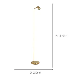 Rigomagno Gold Task Floor Lamp
