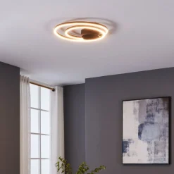 Ruotale Black LED Flush Ceiling Light