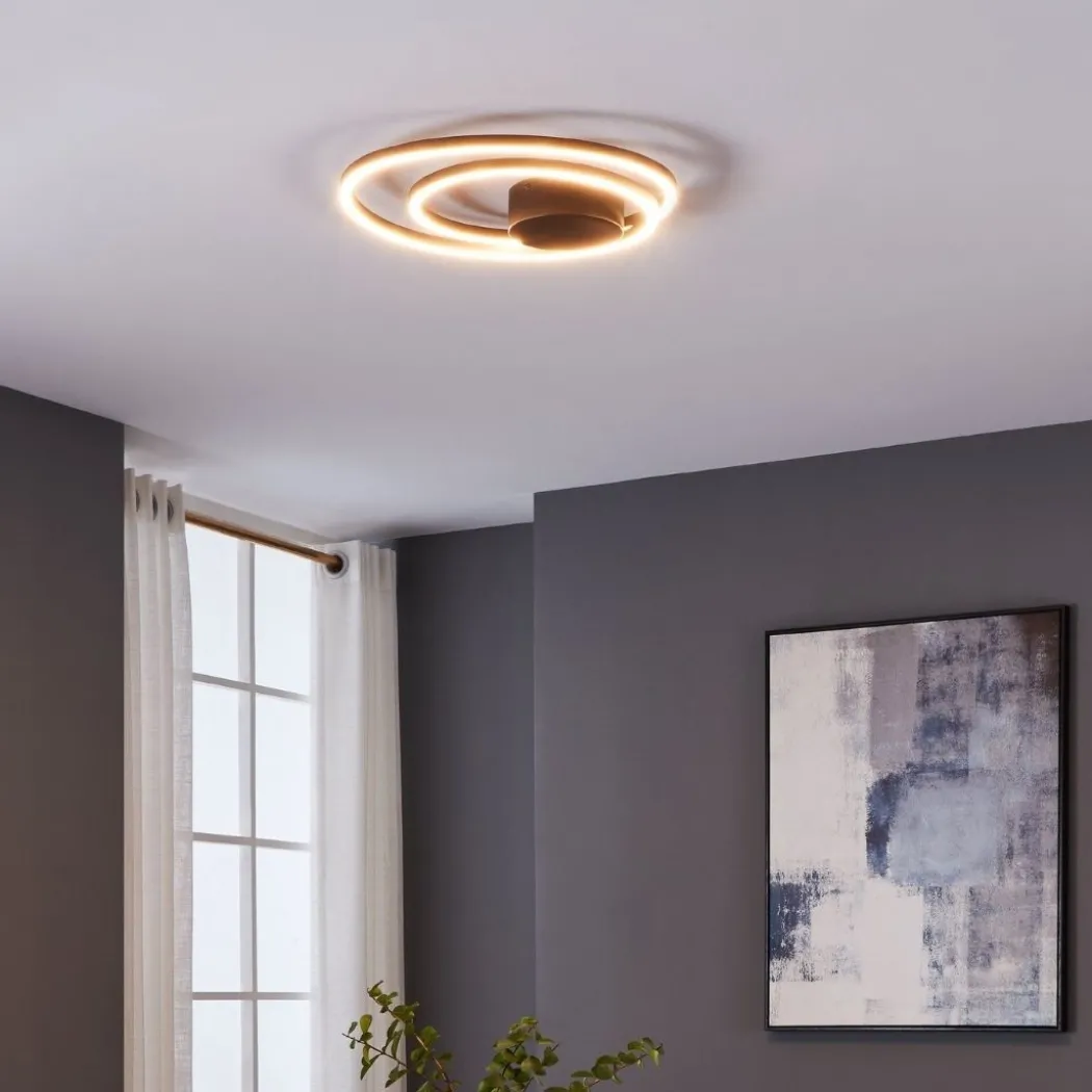 Ruotale Black LED Flush Ceiling Light