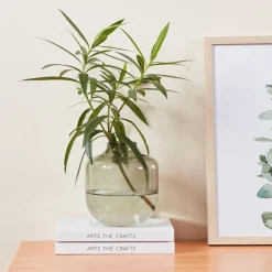 Siranana Round Green Vase