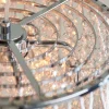 Sophia Pendant Ceiling Light