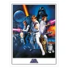 Star Wars A New Hope Canvas