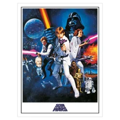 Star Wars A New Hope Canvas