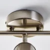 Talbot Brushed Nickel 3-Spot Bar