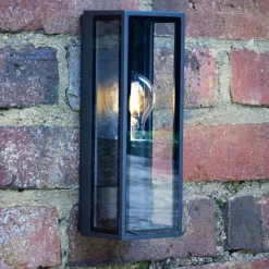 Taryn Anthracite IP65 Outdoor Wall Light