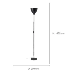 Vilastrosi-E Black Floor Lamp