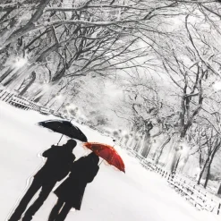 Winter Walk Liquid Art with Chrome Frame 80x60cm