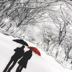 Winter Walk Liquid Art with Chrome Frame 80x60cm