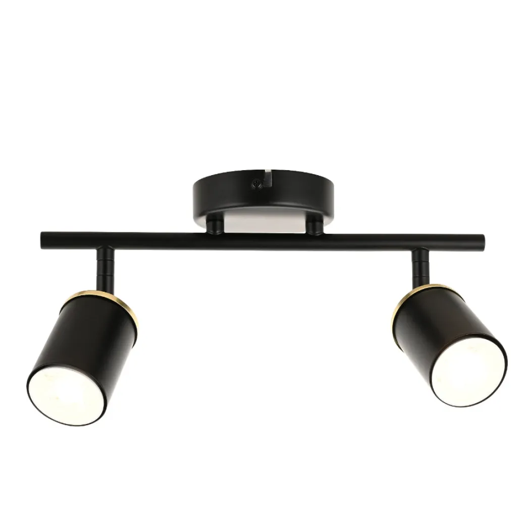 Talbot 2-Light Matte Black Spotlight Bar
