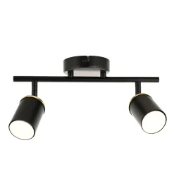 Talbot 2-Light Matte Black Spotlight Bar