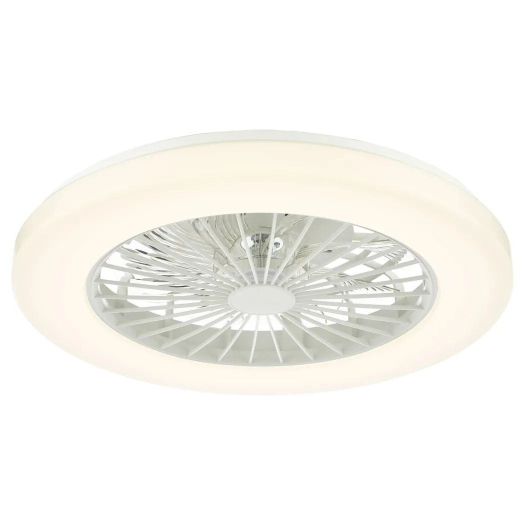 White Flush LED Ceiling Fan