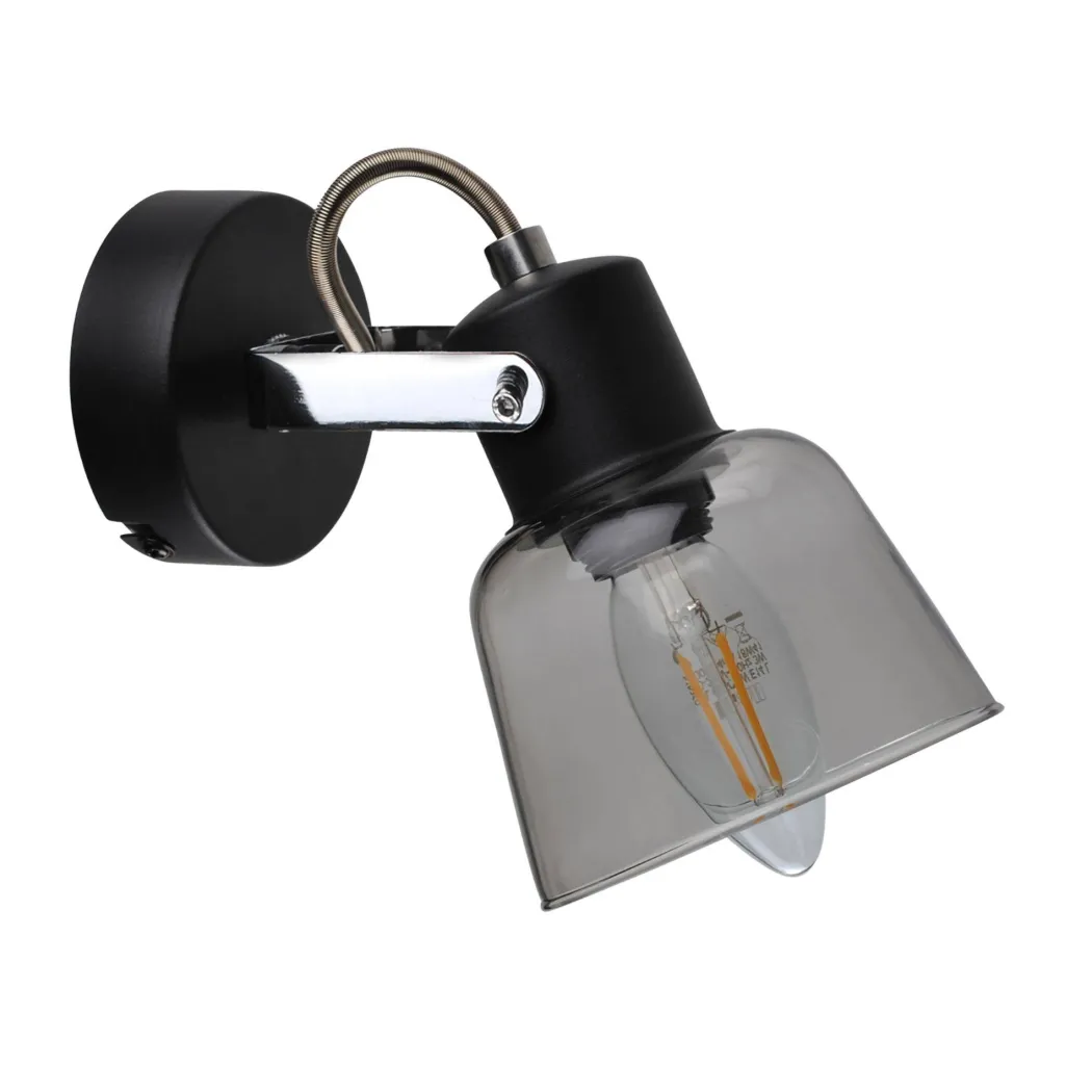 Zach Black Spotlight with Glass Shade