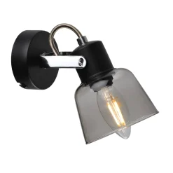 Zach Black Spotlight with Glass Shade